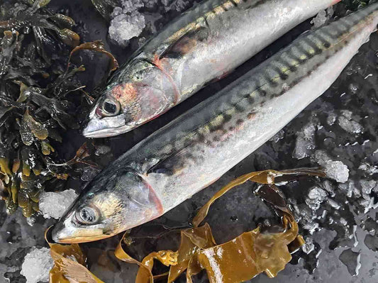 Caballa