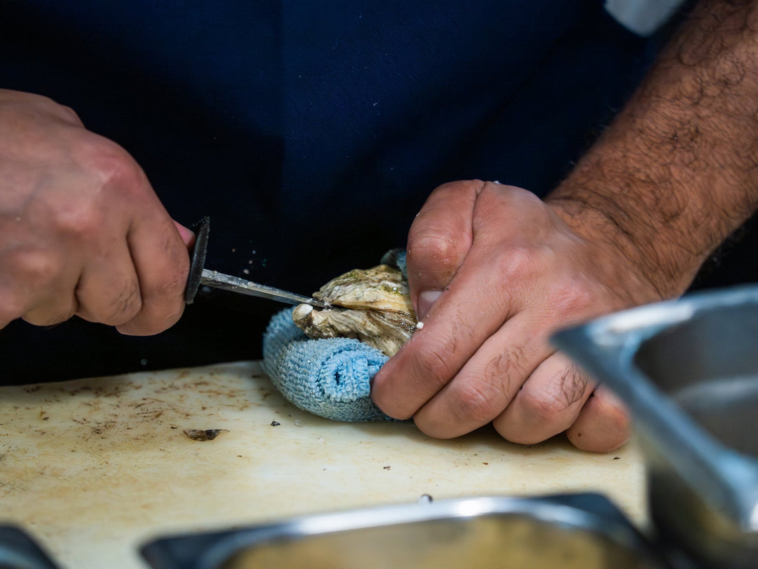 Ostras gallegas: origen, variedades y cómo abrirlas en casa - Marisco Rías Baixas