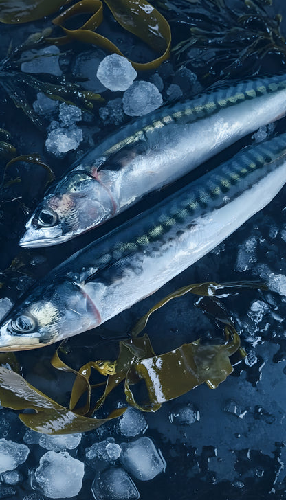 Caballa