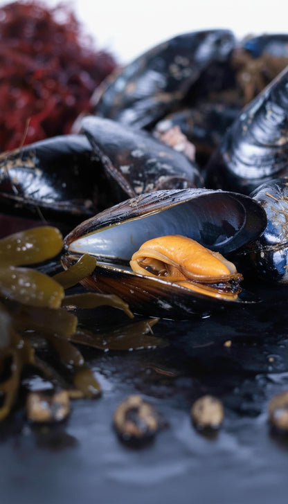 Mejillones