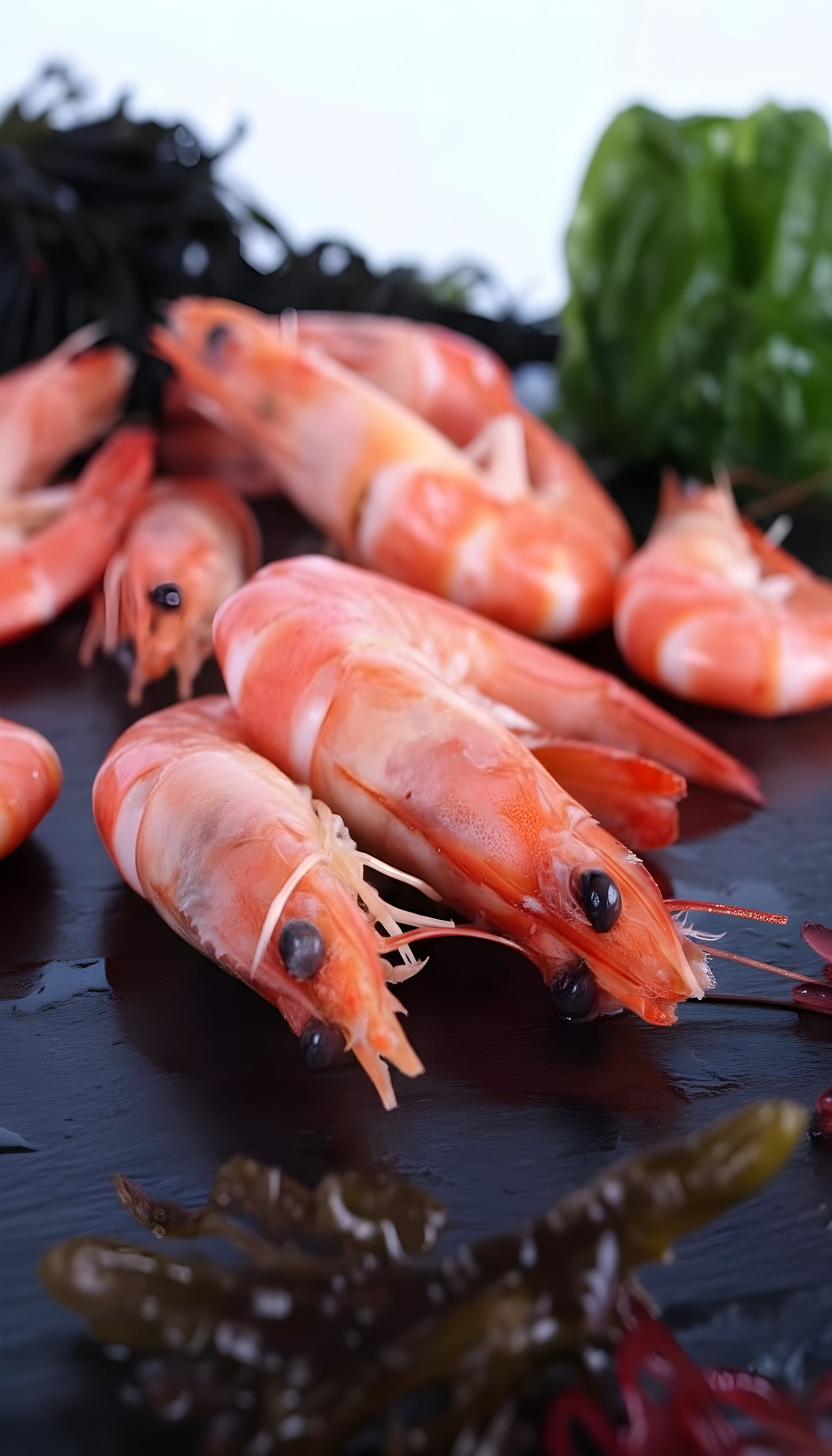 Langostino