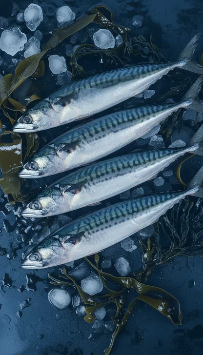 Caballa